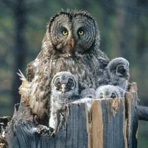 Meet your Posher, Anna maria